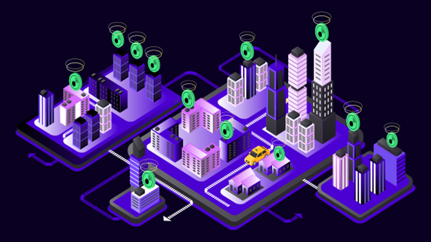 Picture of the author
