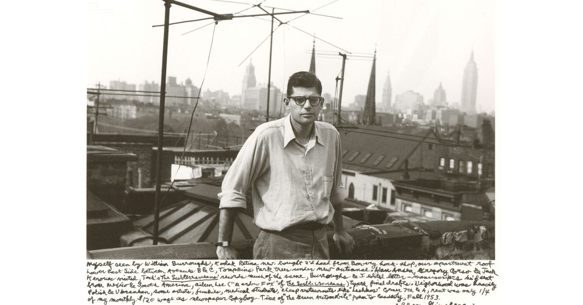Picture of the author