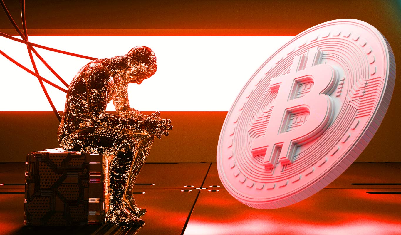 Picture of the author