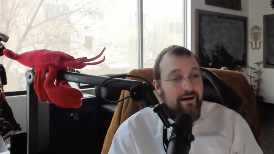 Picture of the author