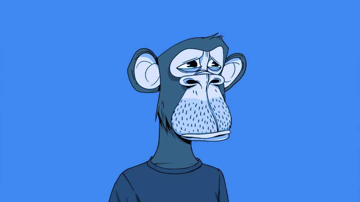 Picture of the author